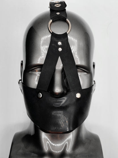 Gag face harness