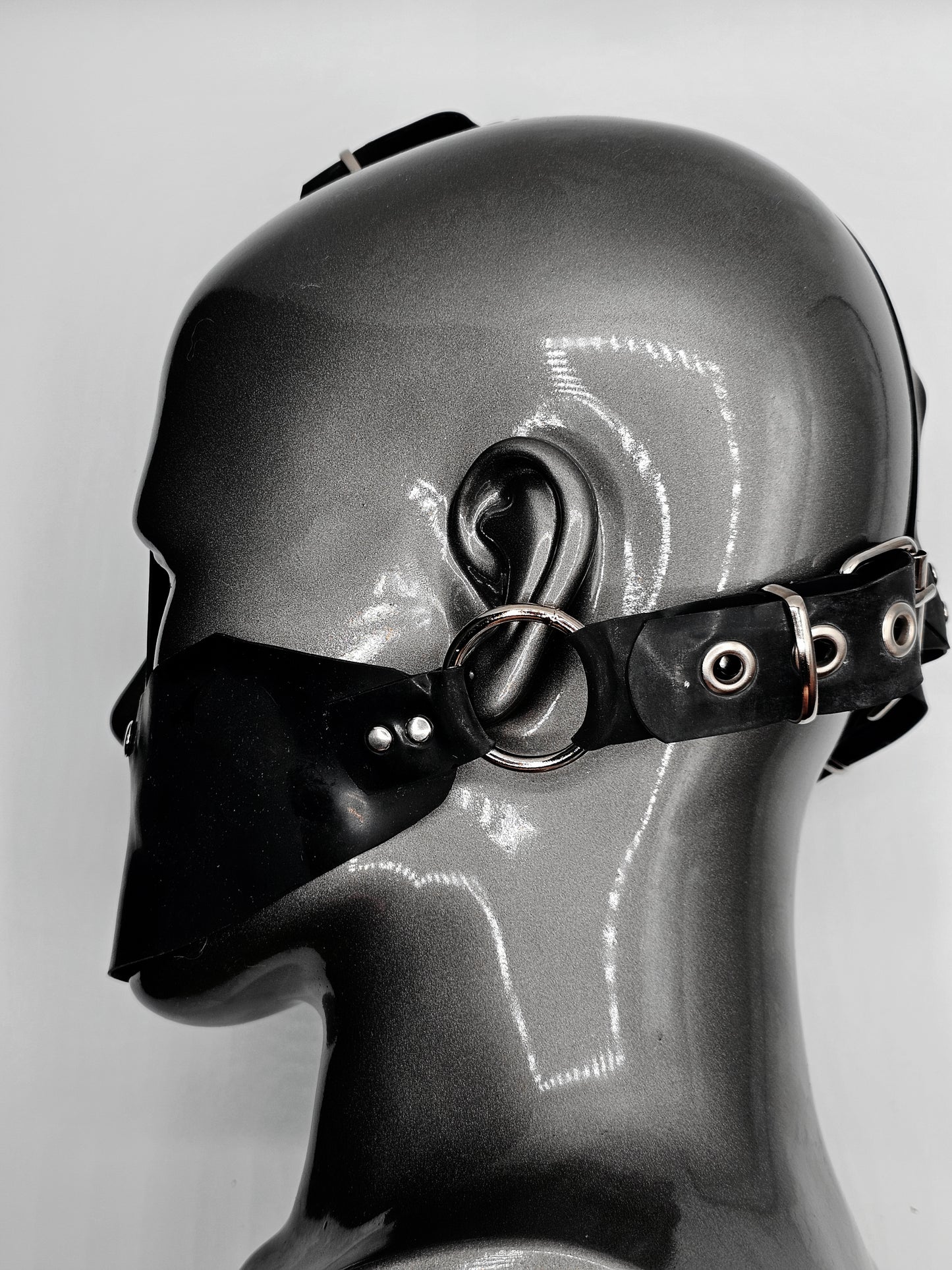 Gag face harness